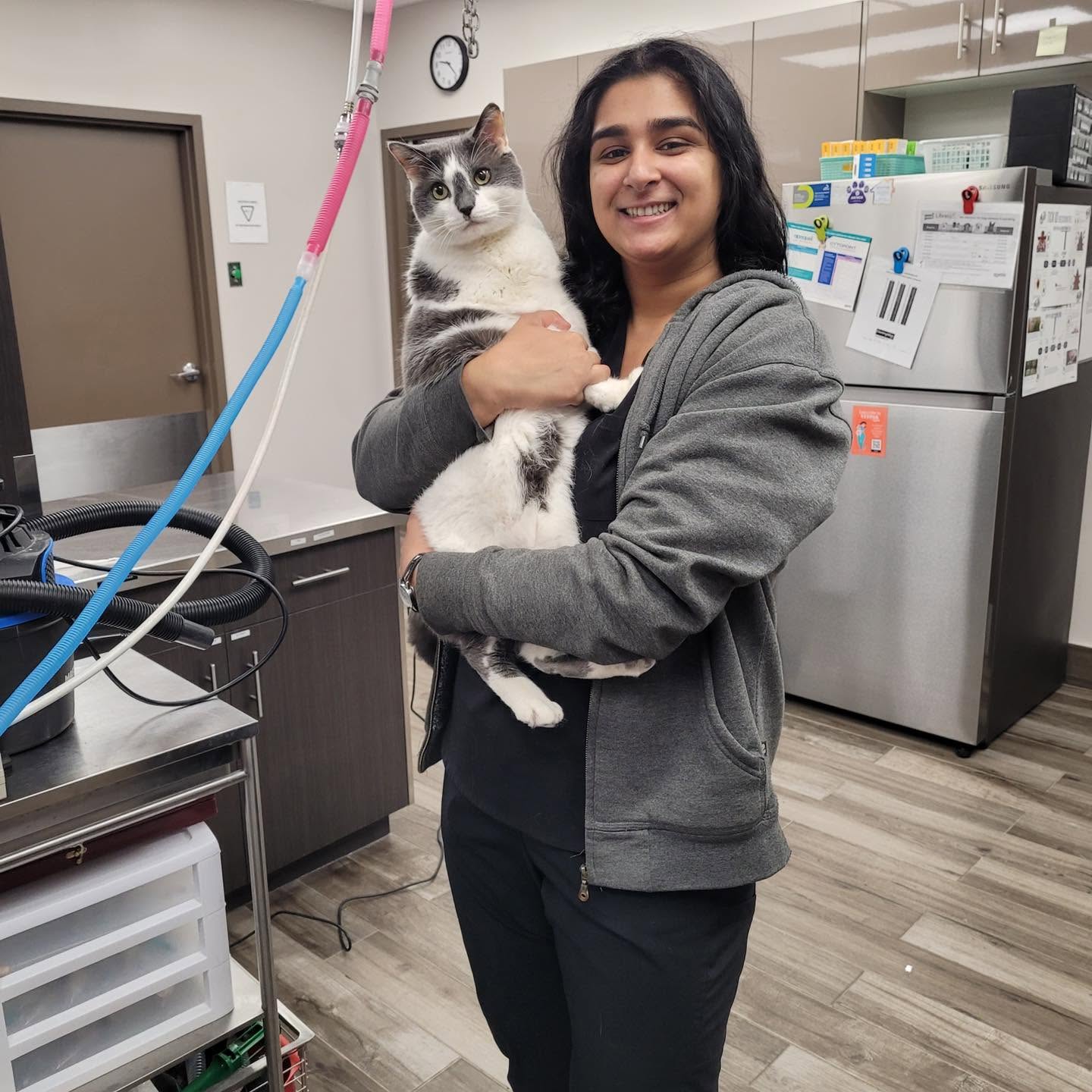 A Pickering Animal Hospital team member welcoming a patient
