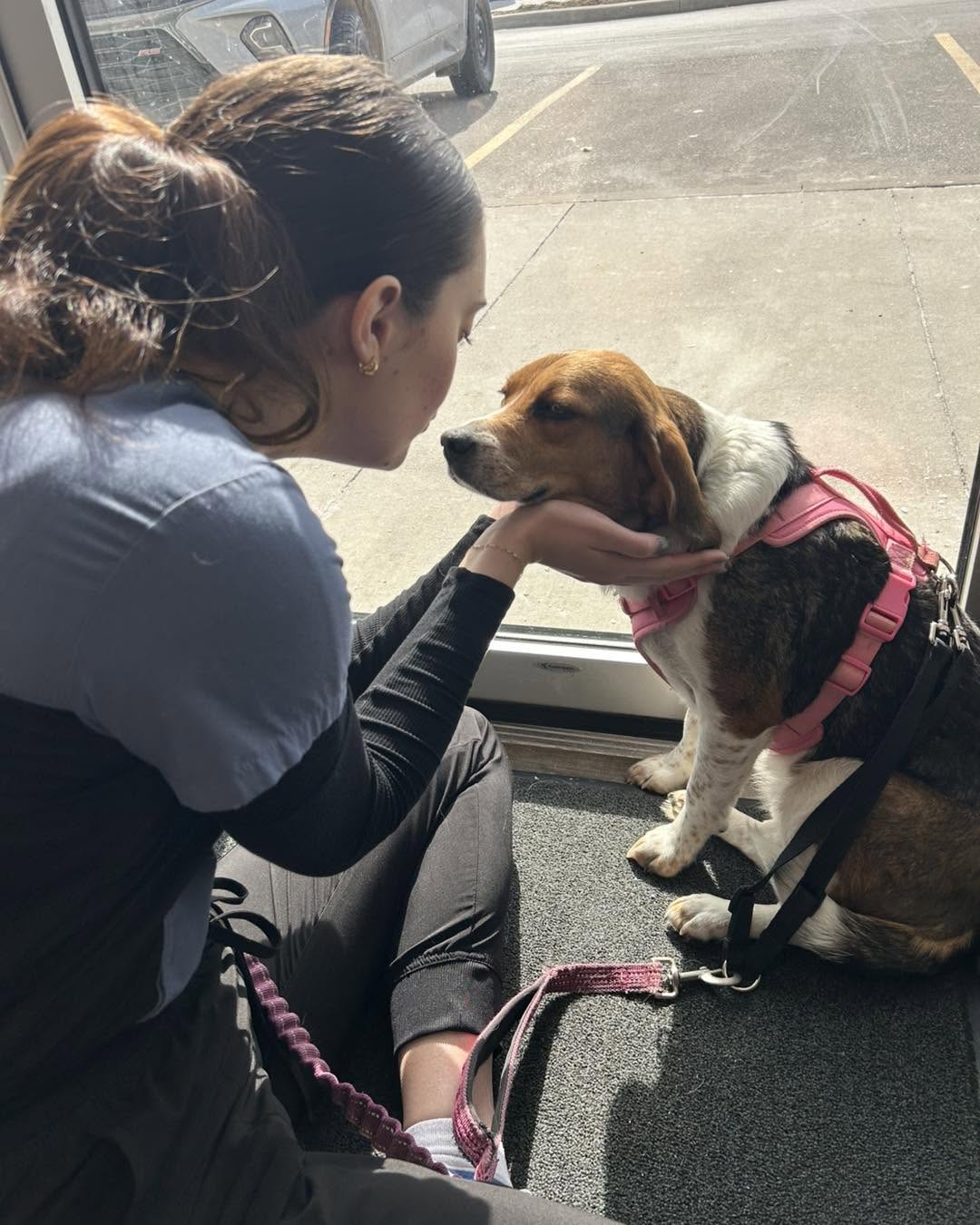 Pickering Animal Hospital team members caring for a patient