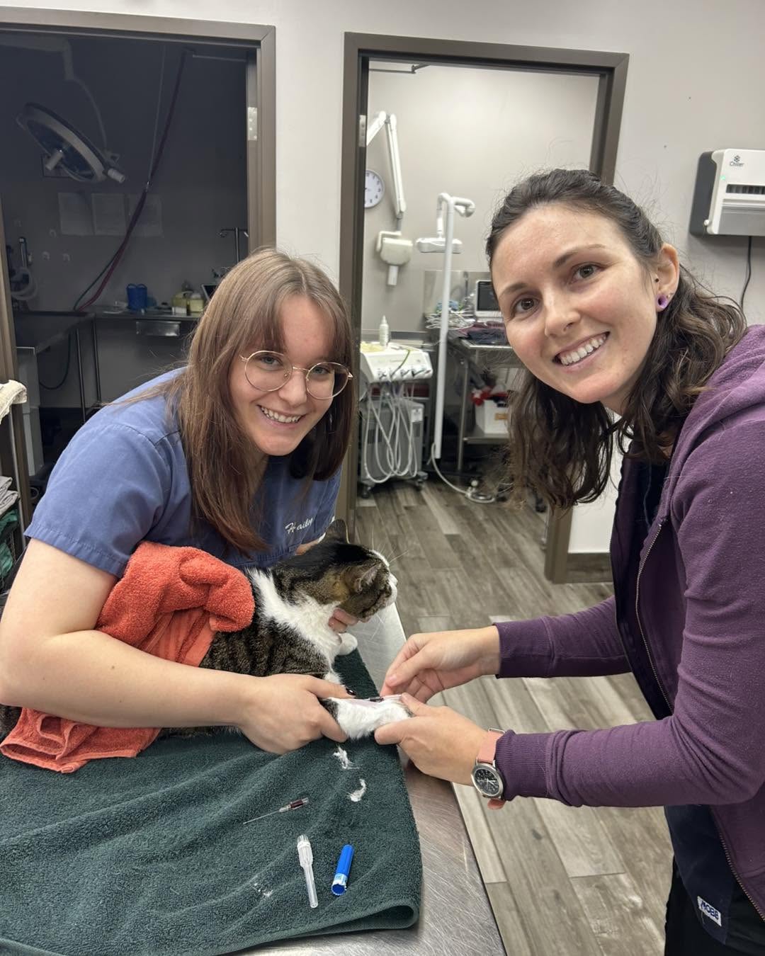 A Pickering Animal Hospital team member with a patient